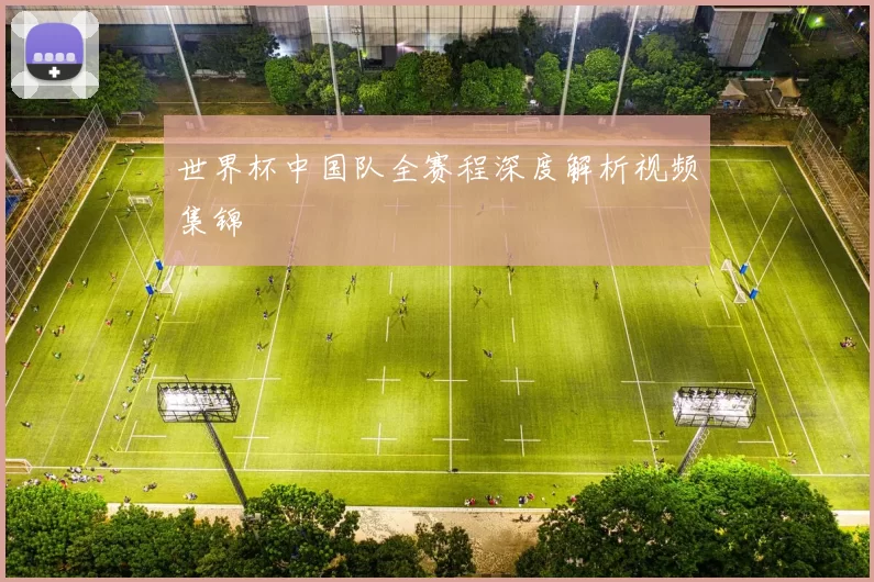 世界杯中国队全赛程深度解析视频集锦