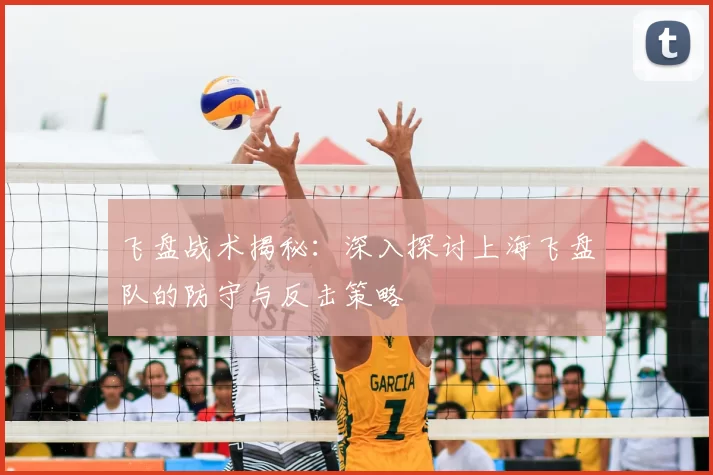 飞盘战术揭秘:深入探讨上海飞盘队的防守与反击策略