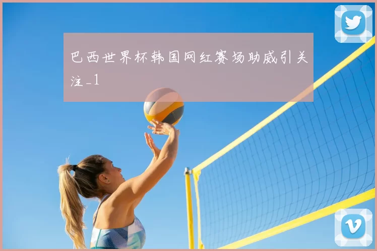 巴西世界杯韩国网红赛场助威引关注_1