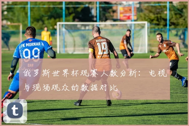 俄罗斯世界杯观赛人数分析:电视与现场观众的数据对比