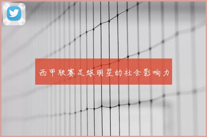 西甲联赛足球明星的社会影响力