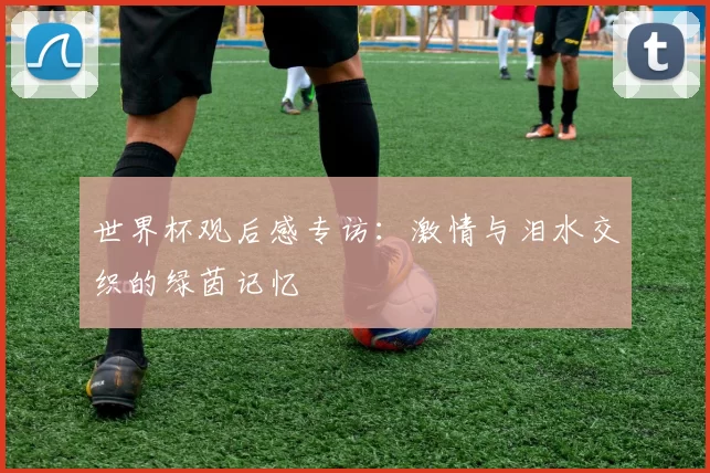 世界杯观后感专访:激情与泪水交织的绿茵记忆