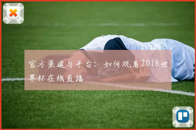官方渠道与平台：如何观看2018世界杯在线直播