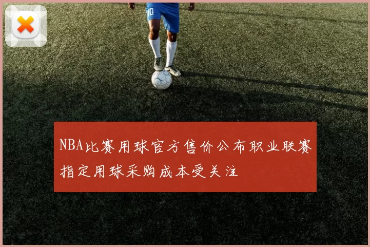 NBA比赛用球官方售价公布职业联赛指定用球采购成本受关注