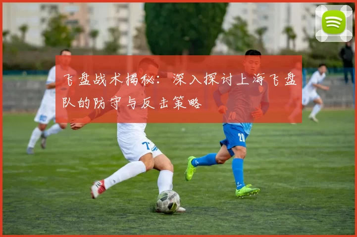 飞盘战术揭秘:深入探讨上海飞盘队的防守与反击策略