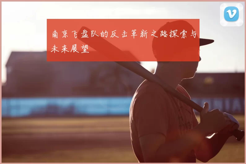 南京飞盘队的反击革新之路探索与未来展望