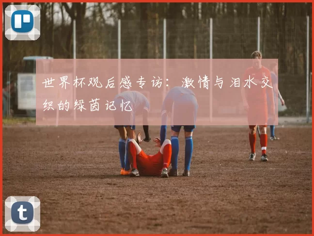 世界杯观后感专访：激情与泪水交织的绿茵记忆