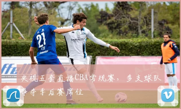 央视五套直播CBA常规赛，多支球队争夺季后赛席位