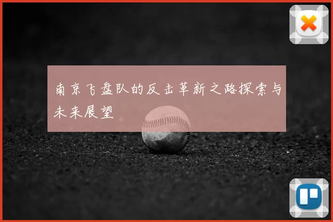 南京飞盘队的反击革新之路探索与未来展望