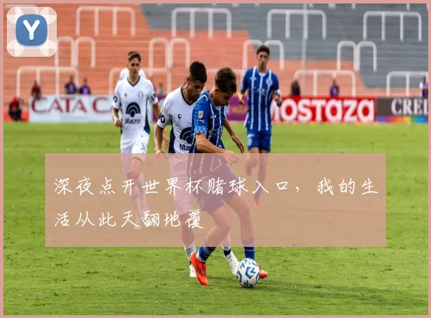 深夜点开世界杯赌球入口，我的生活从此天翻地覆