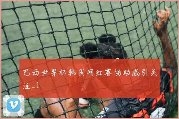 巴西世界杯韩国网红赛场助威引关注_1