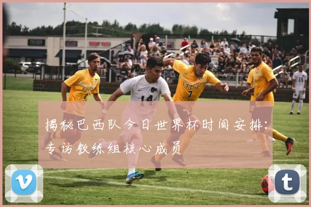 揭秘巴西队今日世界杯时间安排：专访教练组核心成员