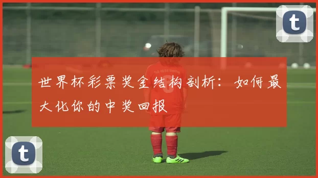世界杯彩票奖金结构剖析:如何最大化你的中奖回报