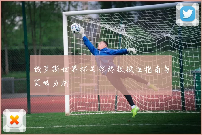 俄罗斯世界杯足彩终极投注指南与策略分析